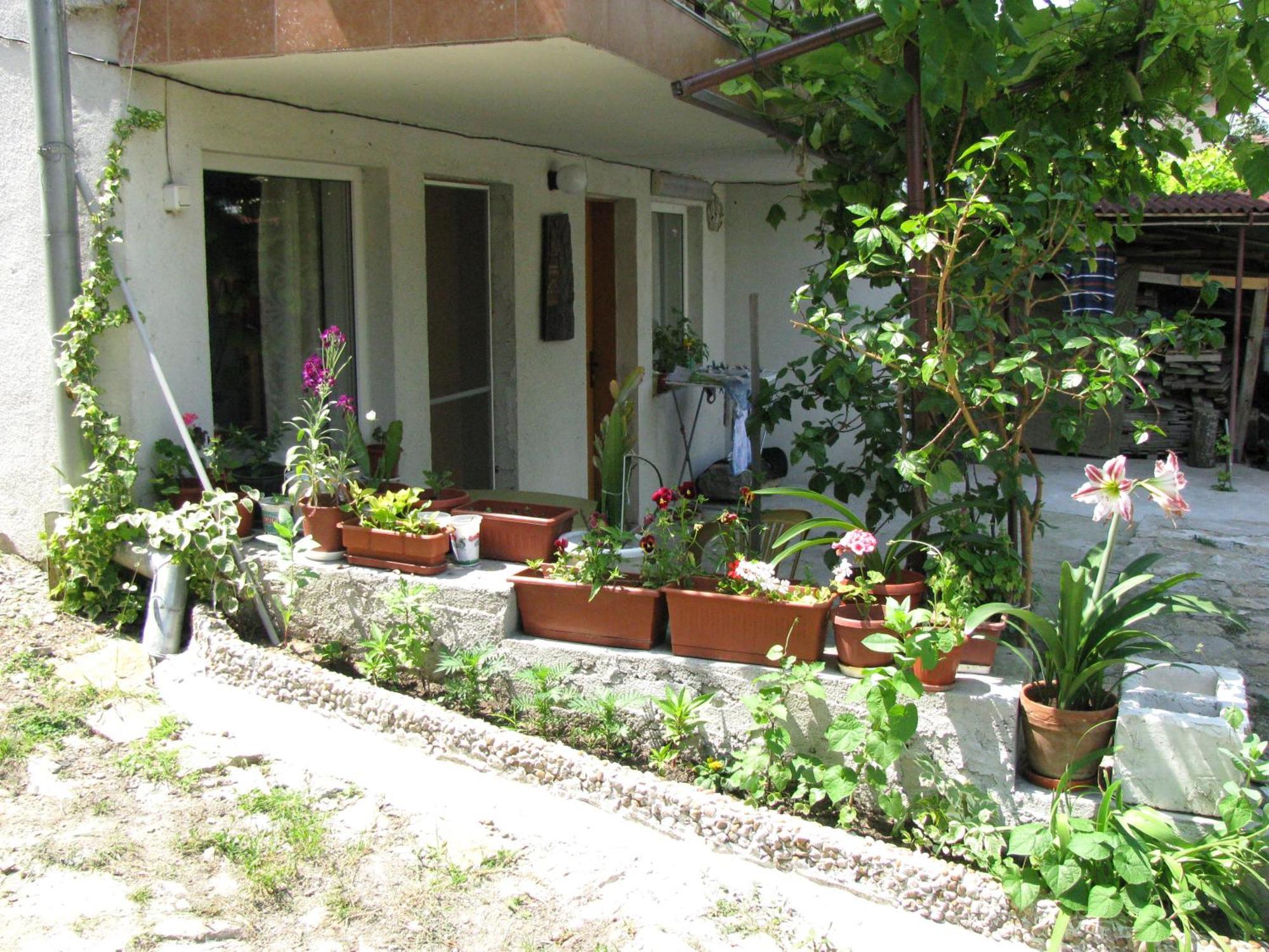 Guest House Familia Samovodene Экстерьер фото
