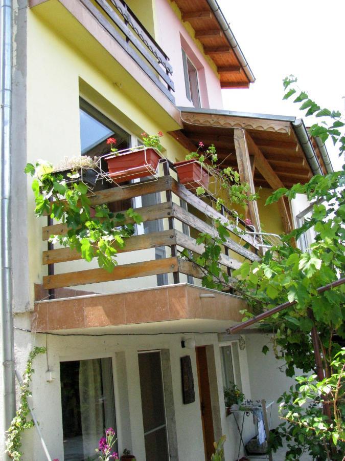 Guest House Familia Samovodene Экстерьер фото